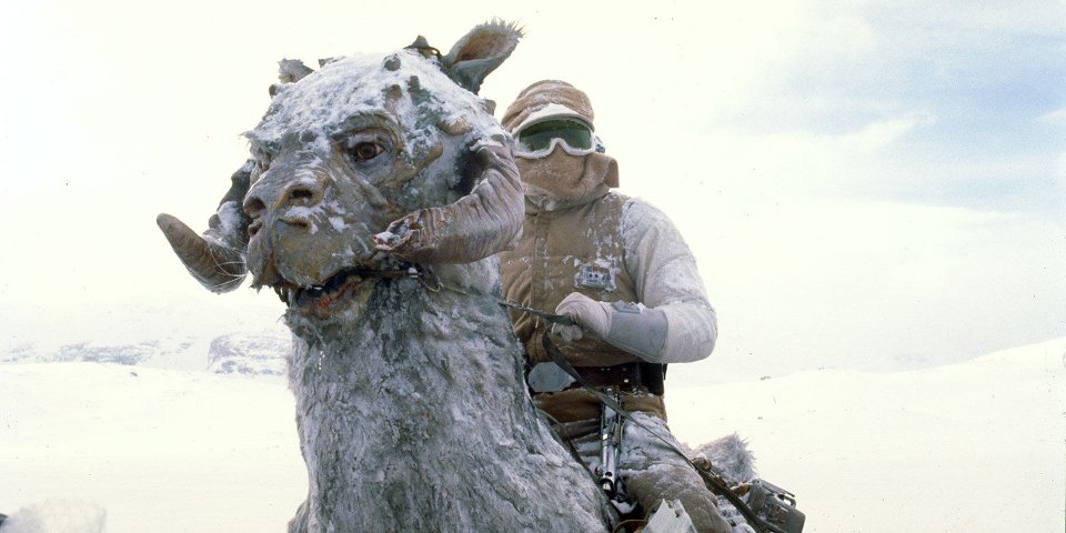Luke riding a tauntaun in Empire Strikes Back.